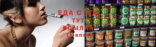 таблы Новозыбков