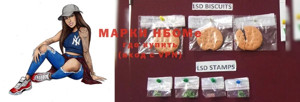 таблы Новозыбков