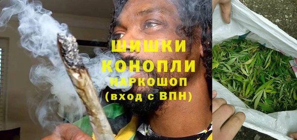 гидра Новодвинск