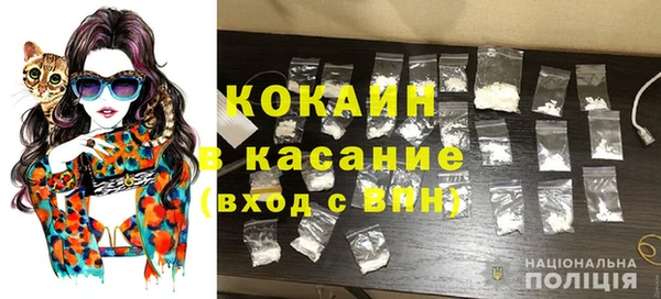 гидра Новодвинск