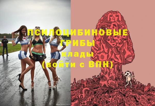 таблы Новозыбков