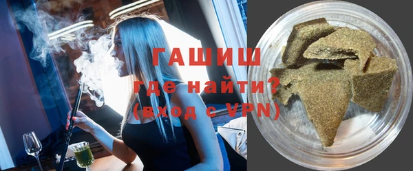 гидра Новодвинск