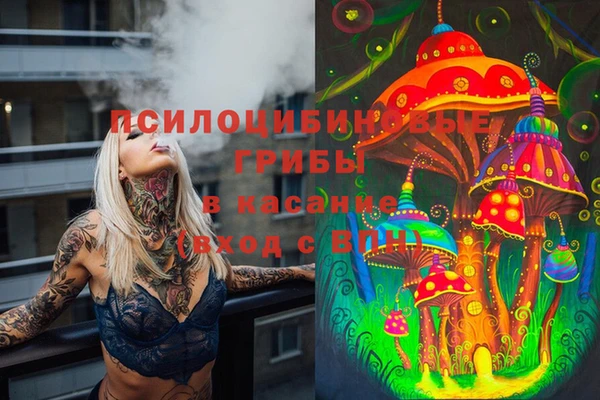 таблы Новозыбков