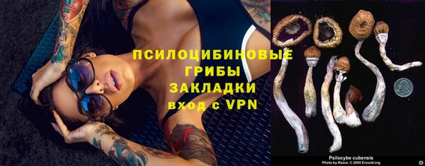 таблы Новозыбков