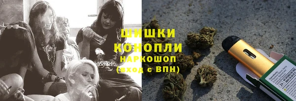 таблы Новозыбков