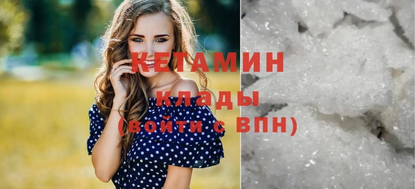 гидра Новодвинск