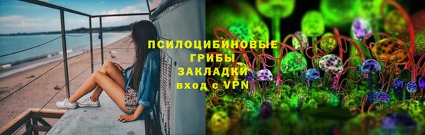таблы Новозыбков