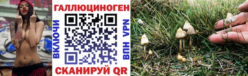 сайты даркнета клад  Трубчевск  Псилоцибиновые грибы мицелий 